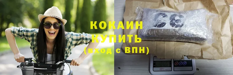 Cocaine FishScale  купить закладку  Мытищи 